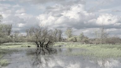 Hochwasser in Bayern und Österreich – HIER ist es besonders dramatisch