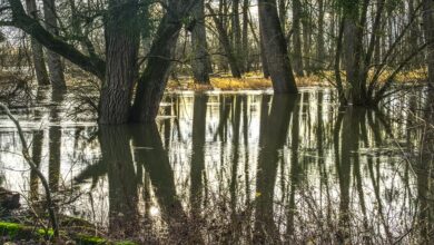 Warnstufe 3 im Landkreis Erding