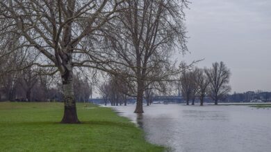 Hochwasser aktuell: Höchste Alarmstufe möglich! Jetzt wird es in Sachsen gefährlich