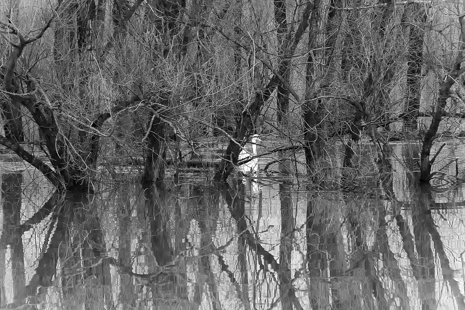 Leichte Entspannung bei Hochwasserlage in Sachsen