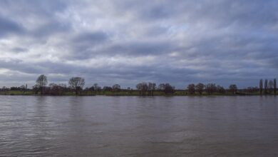 Woidke macht sich Bild von der Hochwasser-Lage