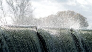 Überflutungsgefahr: Hochwasser droht unter der Woche in Brandenburg