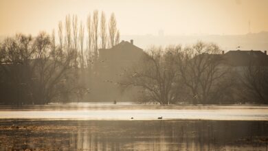 Aufräumarbeiten an vielen Orten – Elbe und Oder steigen an - Panorama