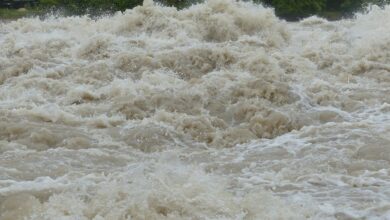 Teile Tschechiens, Polens und Österreichs sind unter Wasser