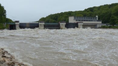 Ticker zum Hochwasser: Höchstand der Elbe am Donnerstag erwartet