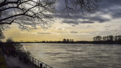 DWD-Prognose gibt Ausblick – Donau überschreitet Richtwert in Passau