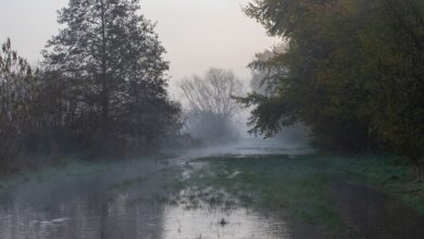 Hochwasser verschluckt ganzes Dorf – das ist die Lage am Sonntag