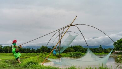 Ernste Hochwasserlage kommende Woche erwartet