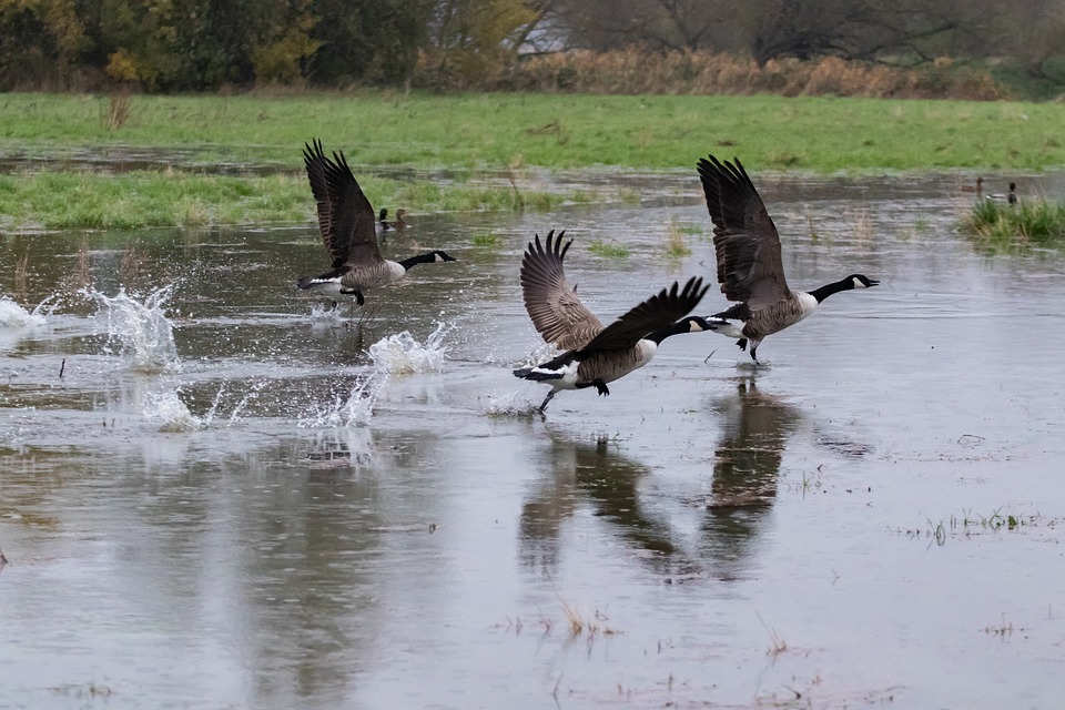 Hochwasser steigt - Oder-Orte warten auf die Welle