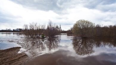 Drohende Hochwasser - Spundwände, Sand und neue Wahllokale - Oder-Orte rüsten sich - Panorama