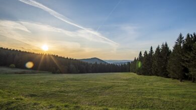 Thüringer Unternehmen in der Insolvenz! Hunderte Jobs auf der Kippe?