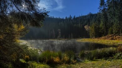 Jetzt abstimmen: Orts-Check: Tausende bewerten den Schwarzwald-Baar-Kreis - Villingen-Schwenningen & Umgebung