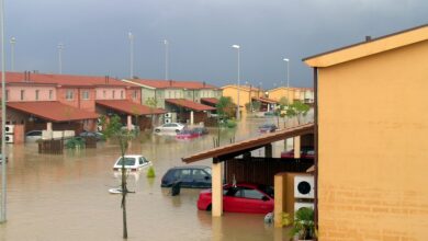 Hochwasser: Die Welle kommt aus dem Wald - Kreis Germersheim