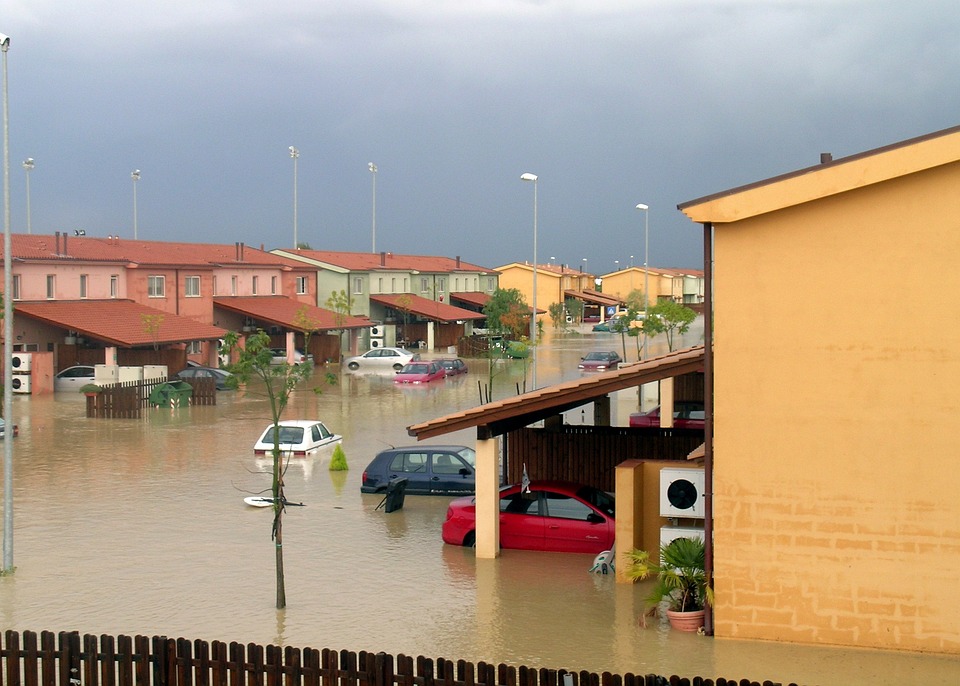 Hochwasser: Die Welle kommt aus dem Wald - Kreis Germersheim