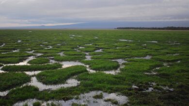 Klimaaktivisten blockieren über Stunden Kreuzung in Bremer City