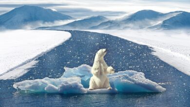 Klimaschützer protestieren in 110 Orten