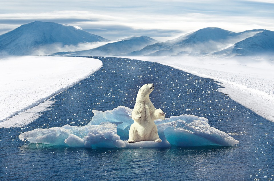 Klimaschützer protestieren in 110 Orten