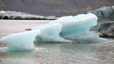 Fridays for Future ruft zu globalem Klimastreik auf