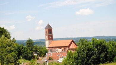 Kraiburg Austria stärkt den Nachwuchs in der Reifenbranche