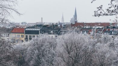 Zukunft von Limburger Tauben weiter unklar