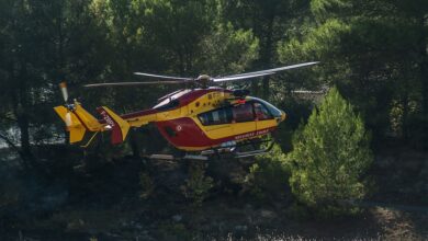 Schlachtabfälle verteilen sich in Graben