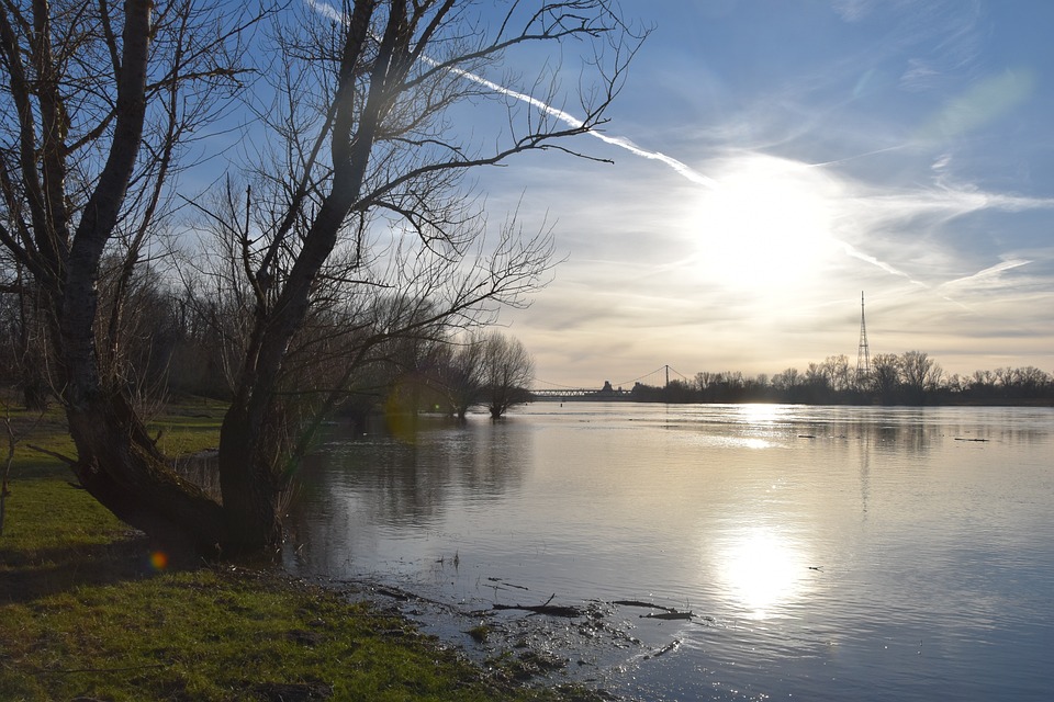 Magdeburg bekommt neue Straßenbahn-Flotte