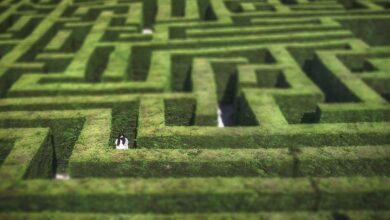 Vier der besten Mais-Labyrinthe auf der Schwäbischen Alb