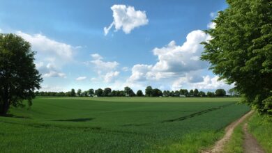 Buntes Treiben beim Weltkindertag in Mettmann | erkrath.jetzt