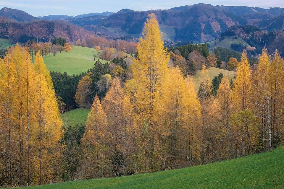 Spende macht Umweltbildung möglich