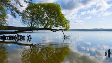 Stadtvertretung Neubrandenburg hat neue Ausschussvorsitzende | NDR.de - Nachrichten - Mecklenburg-Vorpommern