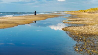 Nach 67 Jahren: Ebbe bei Nordsee in Wolfenbüttel