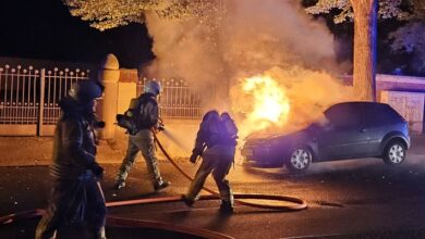 FW Dresden: Fahrzeugbrand