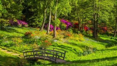 Ostsee: Park-Ärger in Urlaubs-Ort! Gäste außer sich – Stadt reagiert sofort