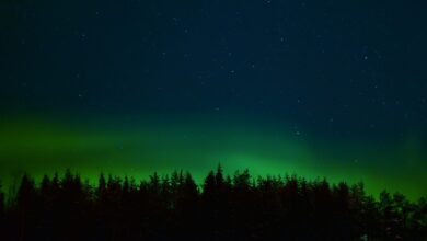 Polarlichter über Deutschland: Sonnenaktivität liefert beeindruckendes Himmelsspektakel