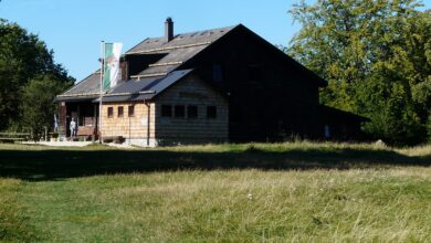 Kriminelle dringen in Nordhausen in ein Vereinsbüro ein und entkommen