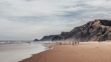 Bereits vier Todesopfer bei Waldbränden in Portugal