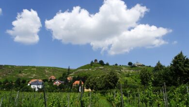 Radebeul: Stadt Radebeul legt neue Rechnung für das Sanierungsgebiet West vor