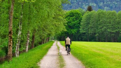 Stadtradeln: Von Ludwigshafen in die Weinberge - Ludwigshafen