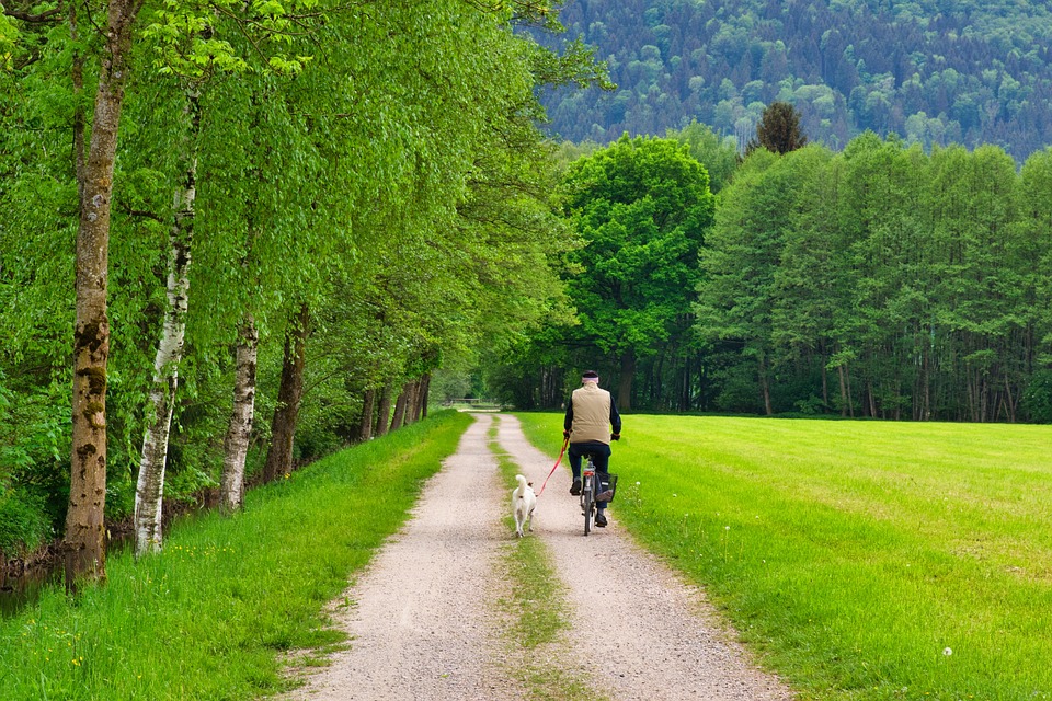 Stadtradeln: Von Ludwigshafen in die Weinberge - Ludwigshafen