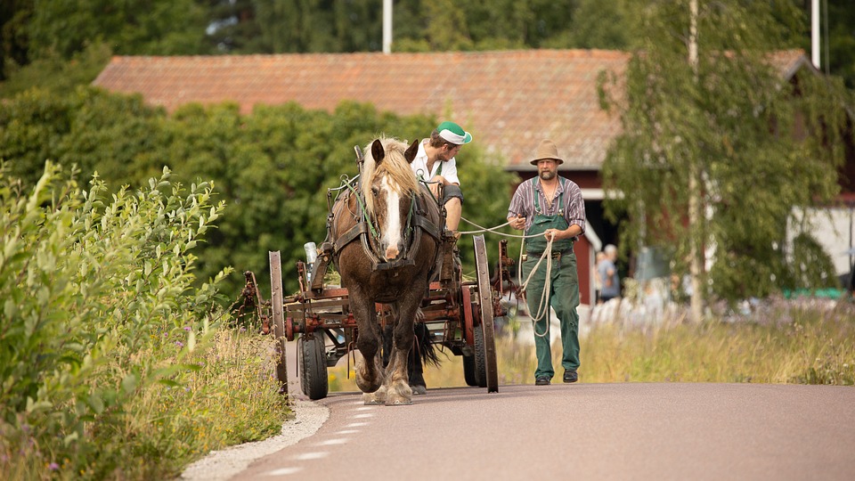 Unfall: Zwei deutsche Teenager bei Unfall in Toskana getötet - Unterhaltung