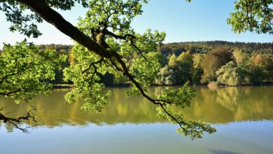 Thüringen blamiert sich in Ranking! Es hagelt schlechte Noten