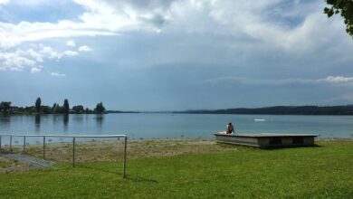 Reichenau - Gemeinde organisiert freiwilligen Hilfstrupp für Hochwasser-Opfer