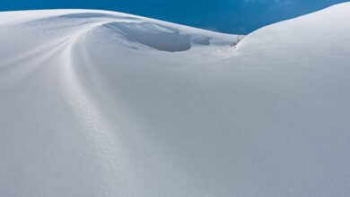 Das ist der Donnerstag im Salzlandkreis