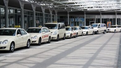 Unfall in Stade: Taxifahrer kollidiert auf B73 mit zwei Pferden