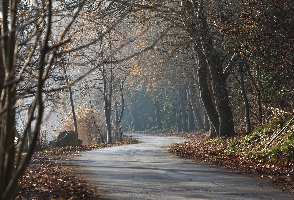 Große Schäden im Pflaster: K 30 in Heistenbach wird für Durchgangsverkehr gesperrt - Rhein-Lahn-Zeitung