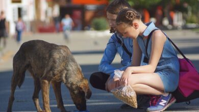 Spenden für Tafel und Schwandorfer Grundschulen