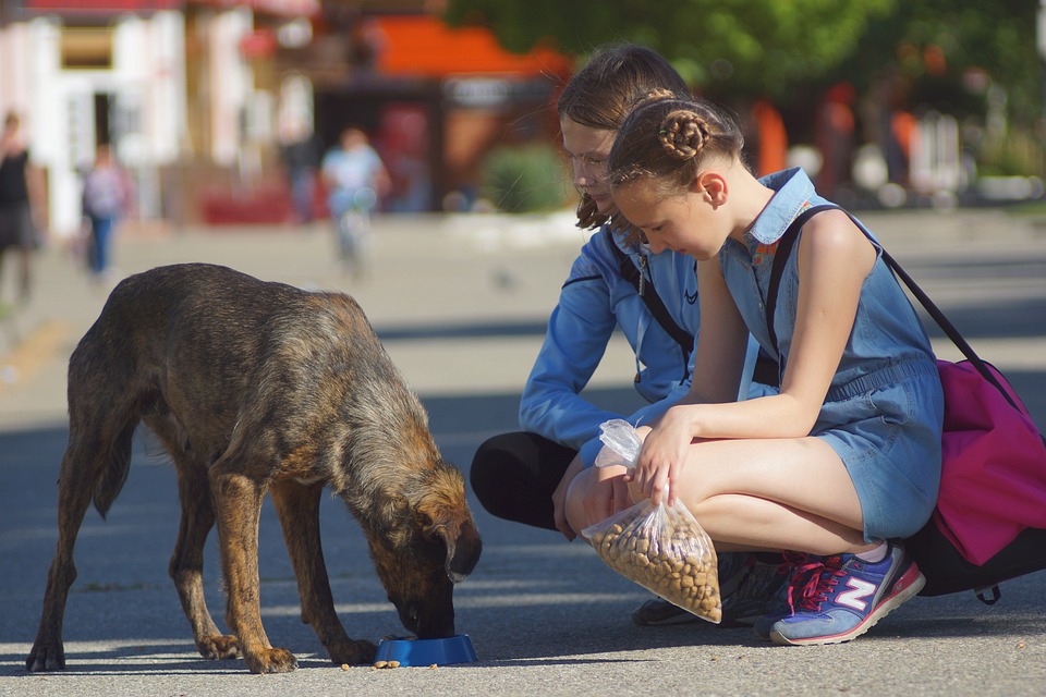 Spenden für Tafel und Schwandorfer Grundschulen