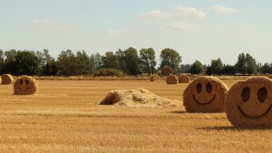 Göppingen: Im Bereich Schiefergrube/Bergfeld Fenster geschlossen halten und Lüftungen abschalten