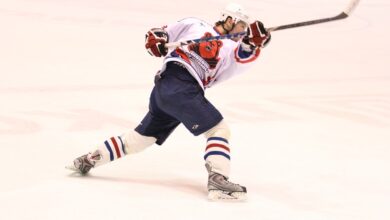 Löwen gewinnen den Alpenwellen-Cup - Eishockey.net