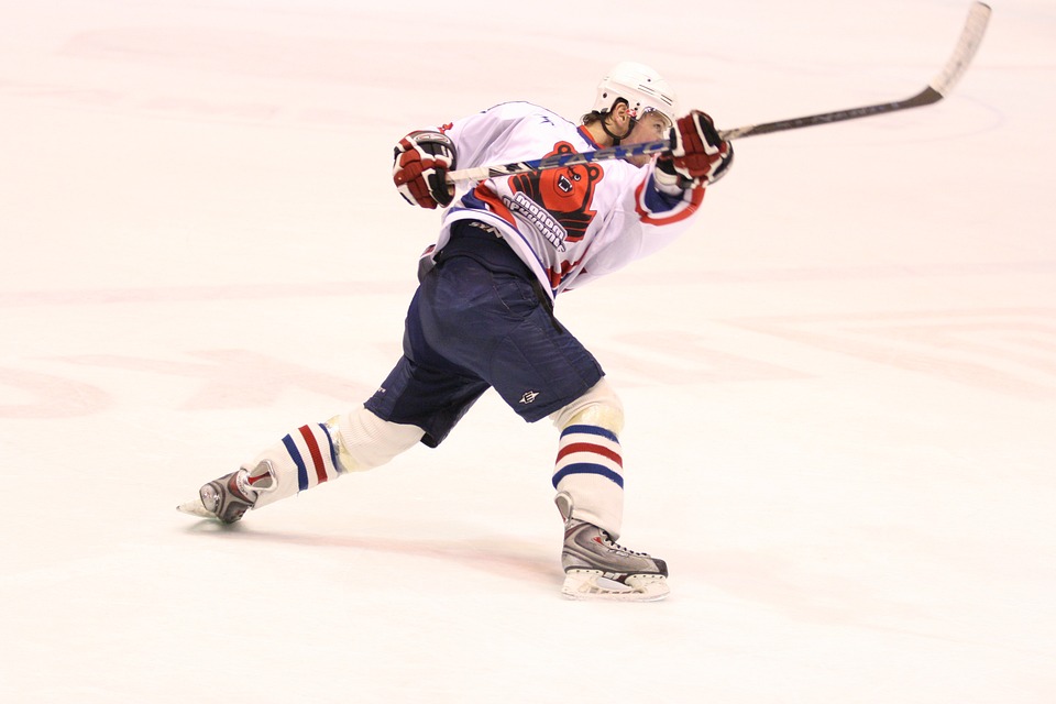 Löwen gewinnen den Alpenwellen-Cup - Eishockey.net